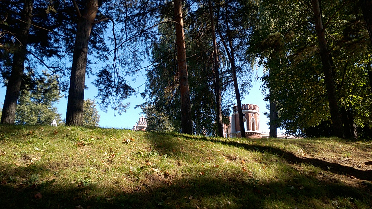 башни Царицыно