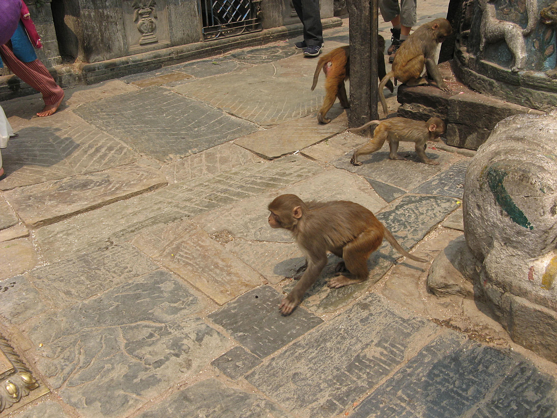 религиозные достопримечательности Катманду фото отзыв