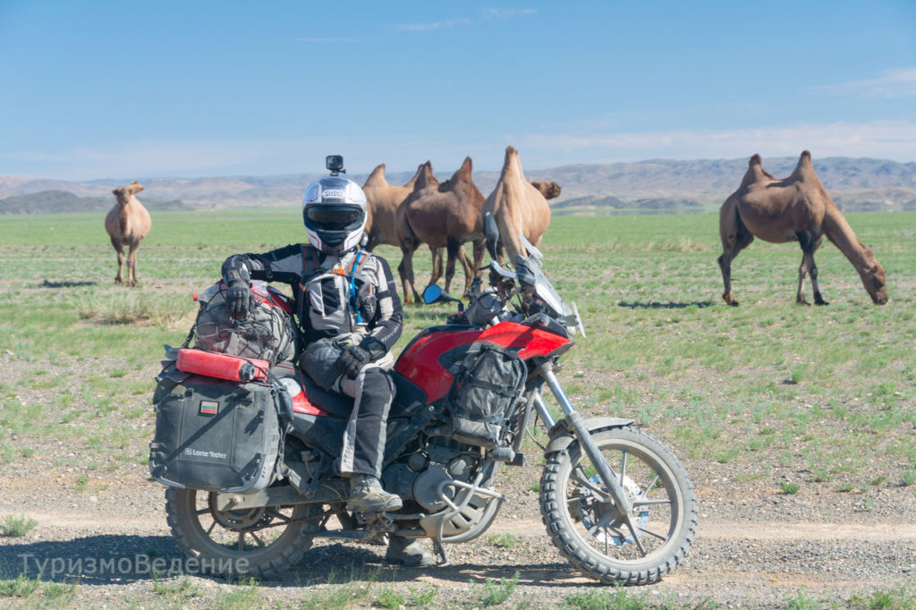 нетуристическая поездка по Монголии фото