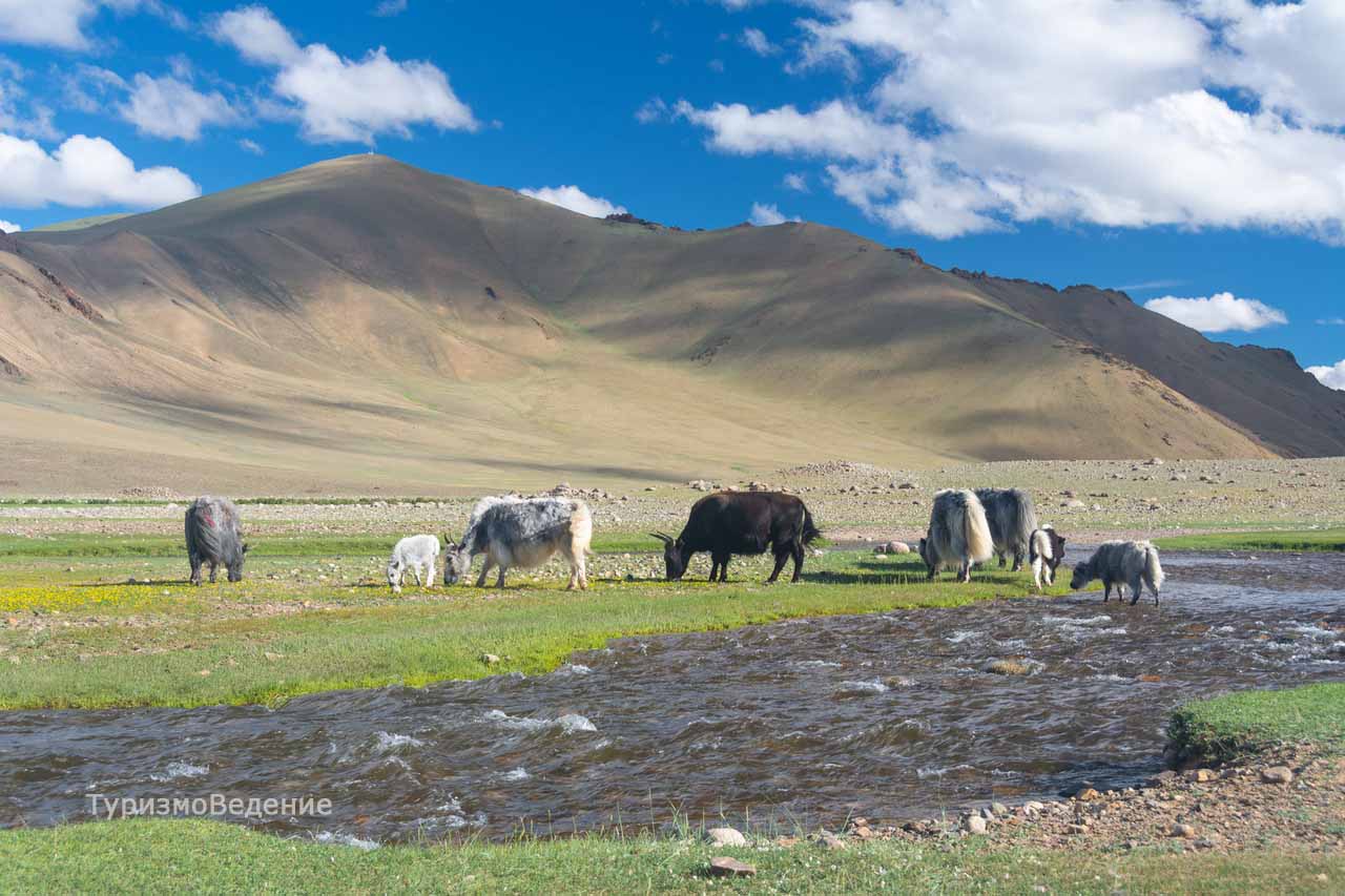 Красоты Монголии