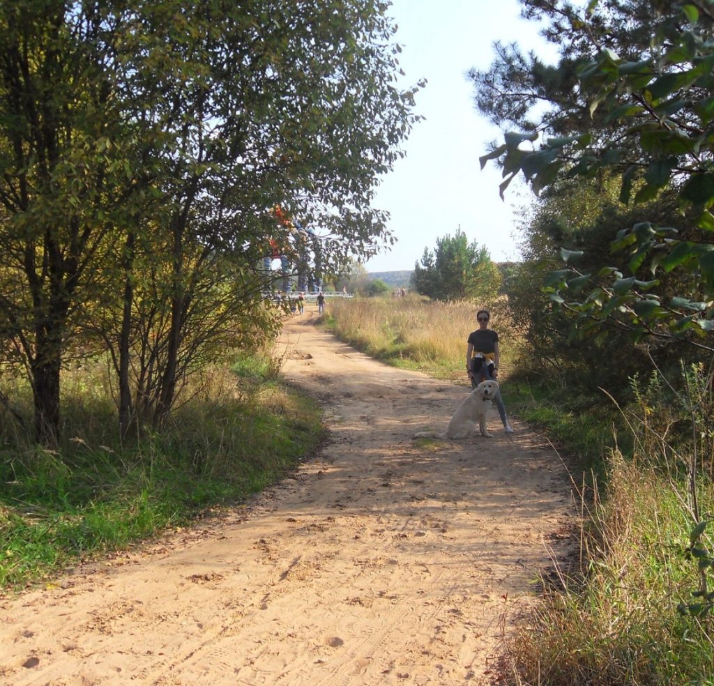дороги парка Никола-Ленивец